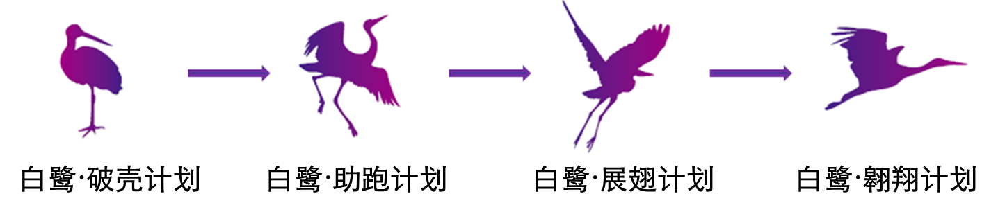 BBt贝博·艾弗森官网